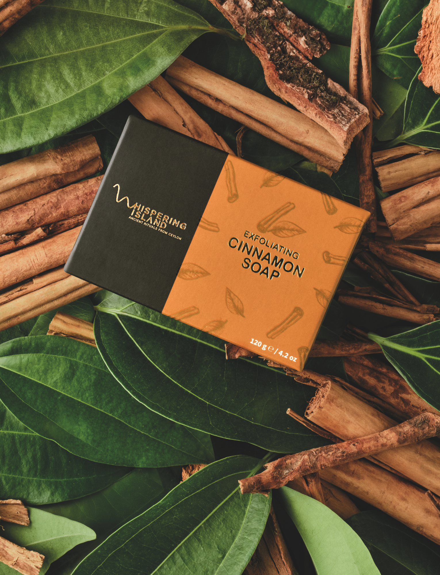 Exfoliating Cinnamon